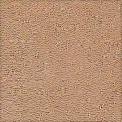 Cuir beige foncé