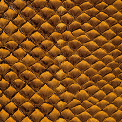 Cuir marin Ictyos vue de près, cuir de poisson saumon Ocre écaille