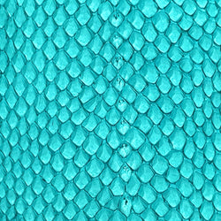 Cuir marin turquoise brut