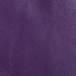 Cuir aubergine