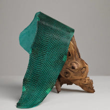 Charger l&#39;image dans la galerie, Peau de cuir marin Ictyos, cuir de poisson saumon vert émeraude écaille
